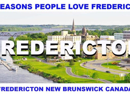 Canada Concentrates Fredericton New Brunswick Canada Canada Concentrates Fredericton New Brunswick Canada Canada Concentrates Fredericton New Brunswick Canada Canada Concentrates Fredericton New Brunswick Canada Canada Concentrates Fredericton New Brunswick Canada Canada Concentrates Fredericton New Brunswick Canada Canada Concentrates Fredericton New Brunswick Canada Canada Concentrates Fredericton New Brunswick Canada Canada Concentrates Fredericton New Brunswick Canada Canada Concentrates Fredericton New Brunswick Canada