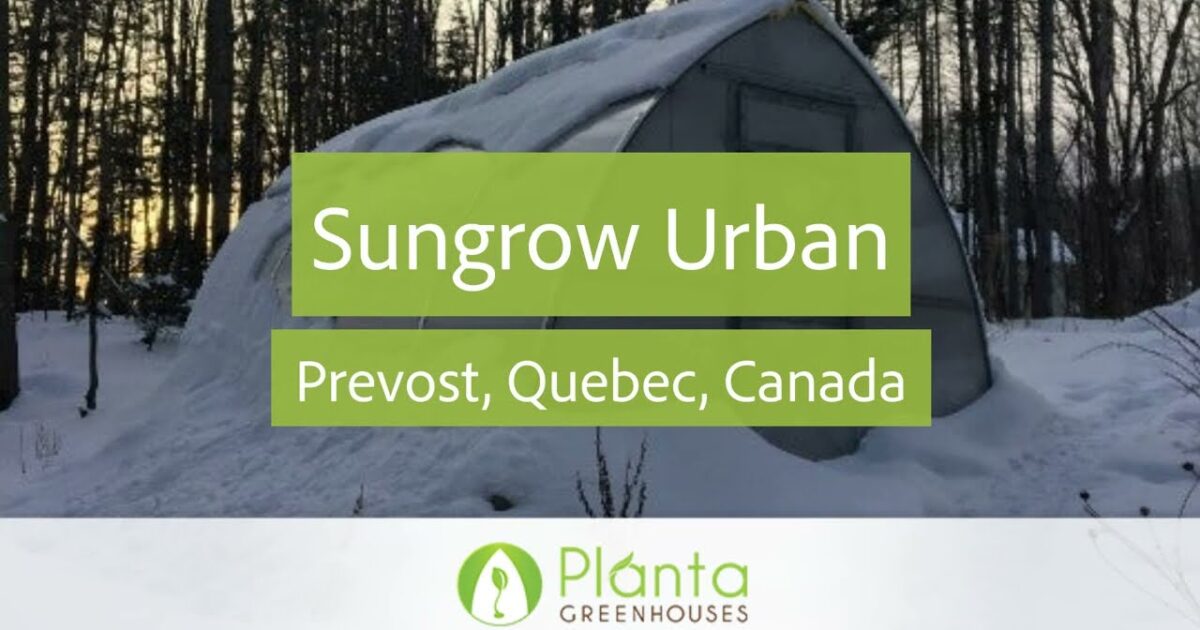 Canada Concentrates Prévost Quebec Canada Canada Concentrates Prévost Quebec Canada Canada Concentrates Prévost Quebec Canada Canada Concentrates Prévost Quebec Canada Canada Concentrates Prévost Quebec Canada Canada Concentrates Prévost Quebec Canada Canada Concentrates Prévost Quebec Canada Canada Concentrates Prévost Quebec Canada Canada Concentrates Prévost Quebec Canada Canada Concentrates Prévost Quebec Canada