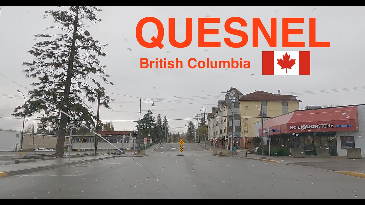 Canada Concentrates Quesnel British Columbia Canada Canada Concentrates Quesnel British Columbia Canada Canada Concentrates Quesnel British Columbia Canada Canada Concentrates Quesnel British Columbia Canada Canada Concentrates Quesnel British Columbia Canada Canada Concentrates Quesnel British Columbia Canada Canada Concentrates Quesnel British Columbia Canada Canada Concentrates Quesnel British Columbia Canada Canada Concentrates Quesnel British Columbia Canada Canada Concentrates Quesnel British Columbia Canada