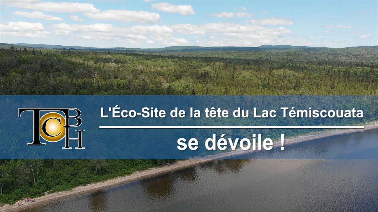 Canada Concentrates Témiscouata-sur-le-Lac Quebec Canada Canada Concentrates Témiscouata-sur-le-Lac Quebec Canada Canada Concentrates Témiscouata-sur-le-Lac Quebec Canada Canada Concentrates Témiscouata-sur-le-Lac Quebec Canada Canada Concentrates Témiscouata-sur-le-Lac Quebec Canada Canada Concentrates Témiscouata-sur-le-Lac Quebec Canada Canada Concentrates Témiscouata-sur-le-Lac Quebec Canada Canada Concentrates Témiscouata-sur-le-Lac Quebec Canada Canada Concentrates Témiscouata-sur-le-Lac Quebec Canada Canada Concentrates Témiscouata-sur-le-Lac Quebec Canada